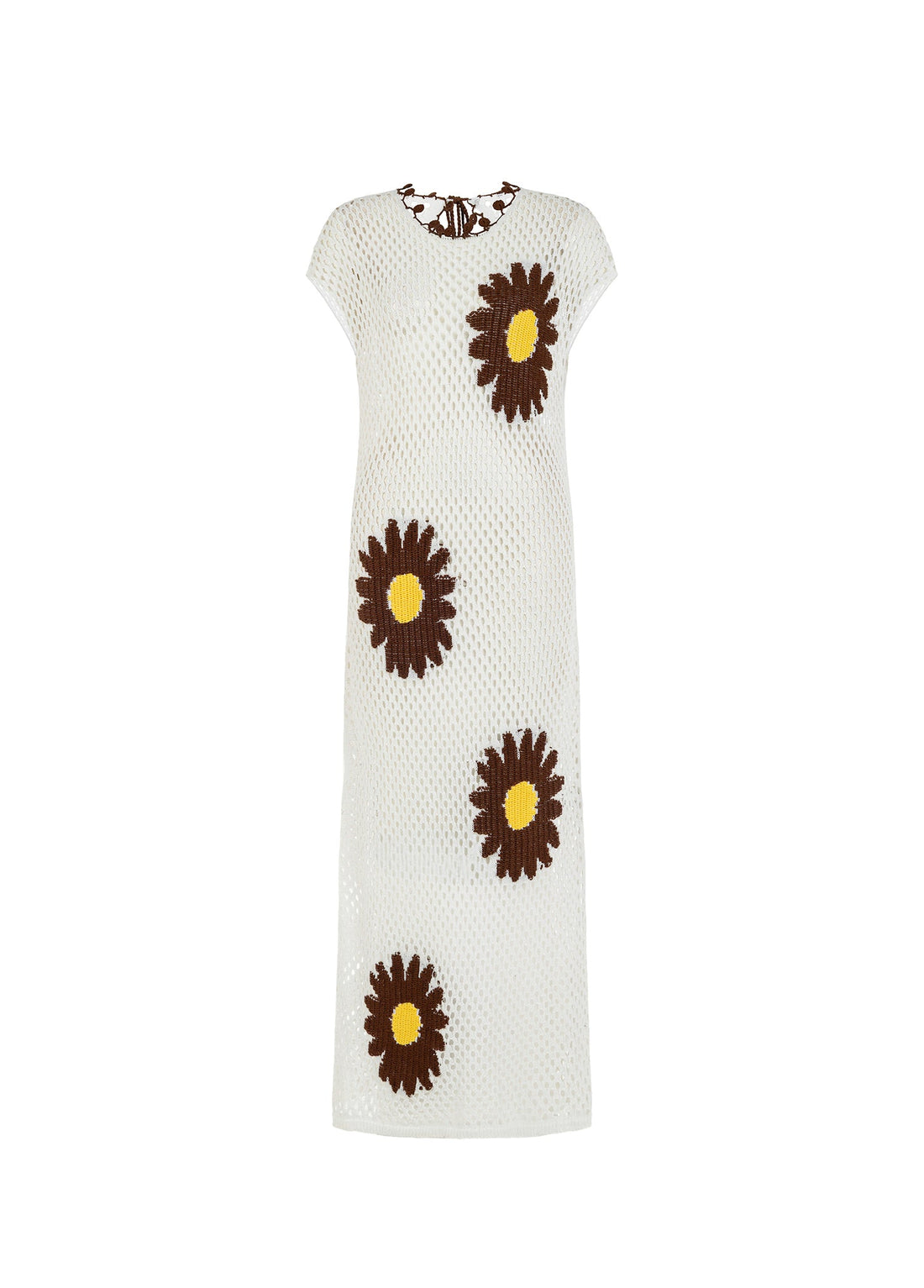 Daisy